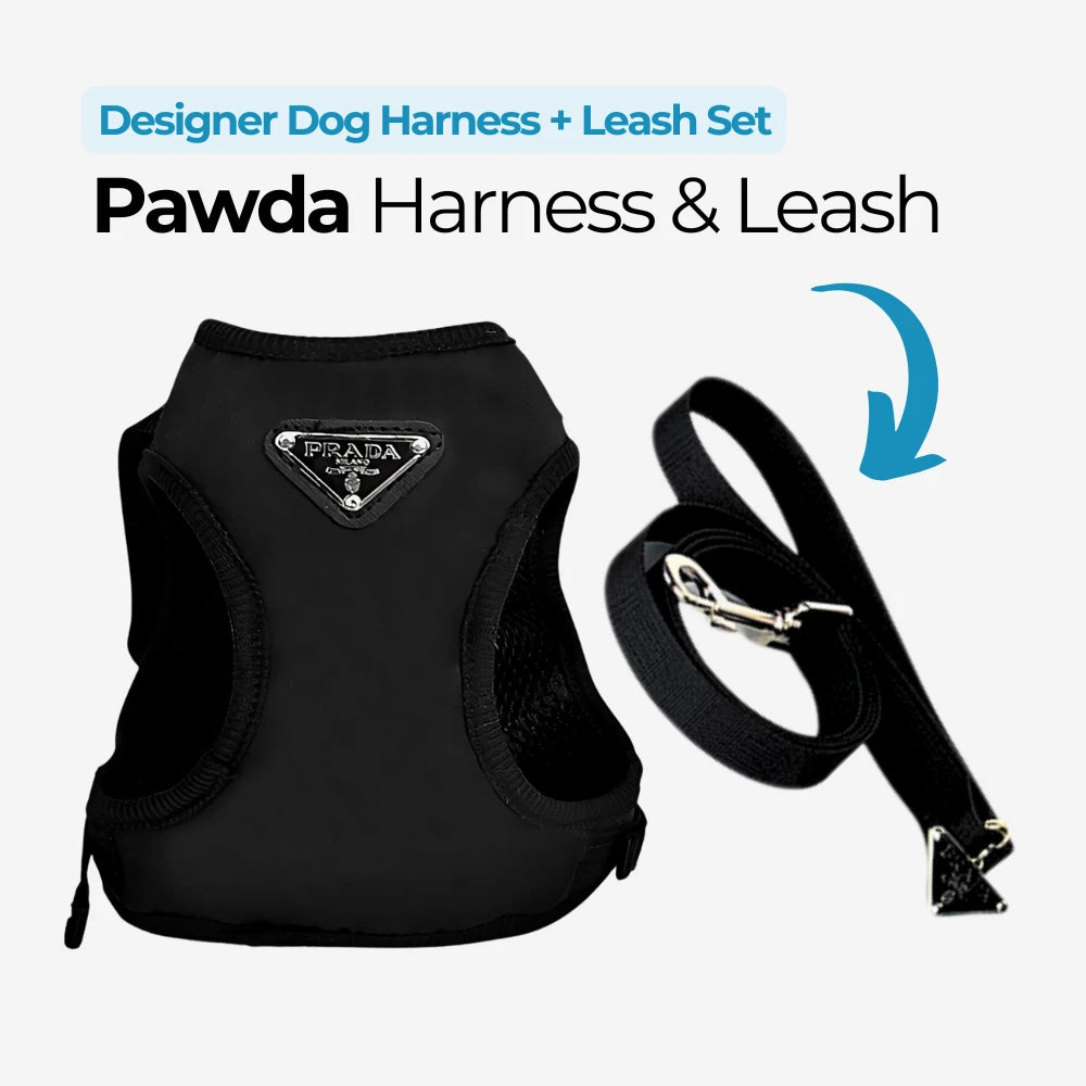 Designer Dog Harness & Leash Set
