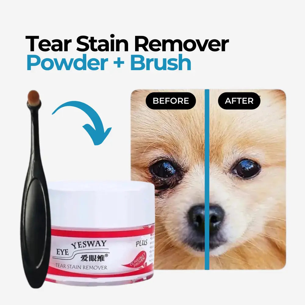 Eye stain remover for dogs shops