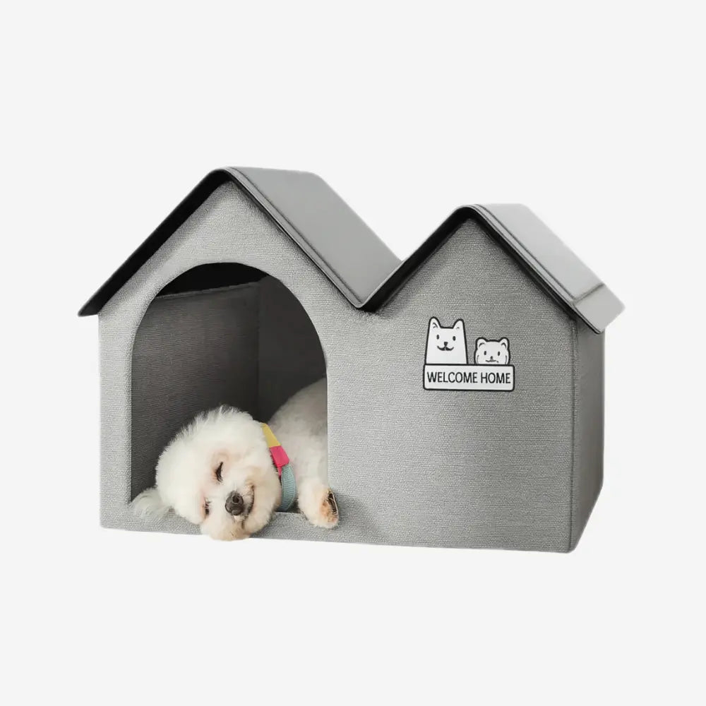 Ice Dog House