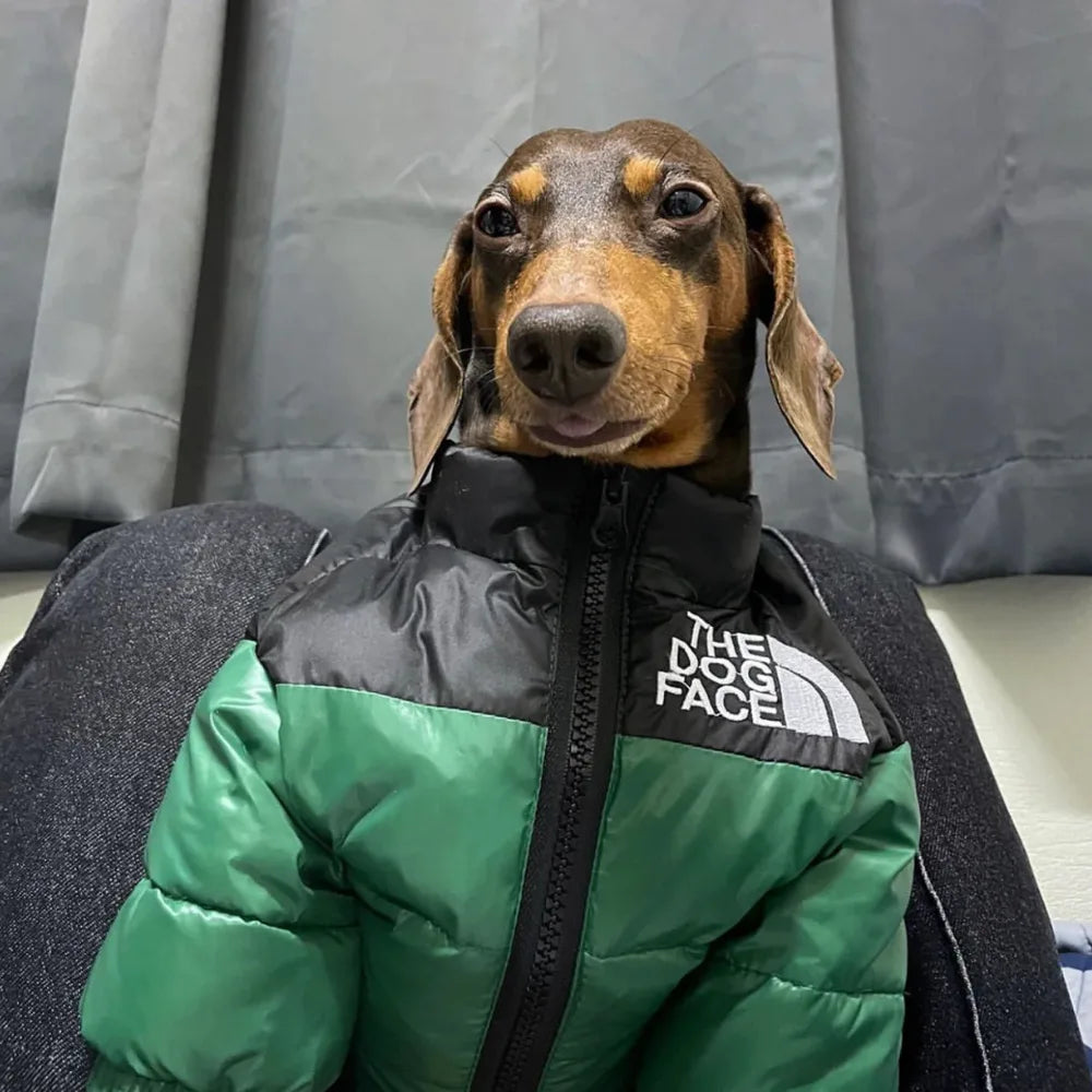 The Dog Face Puffer Jacket