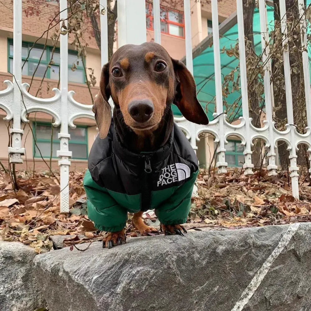 The Dog Face Puffer Jacket