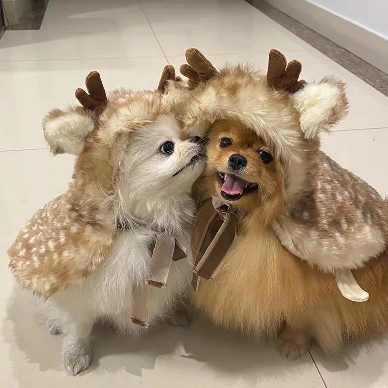 pomeranian dog christmas reindeer costume doggo finds