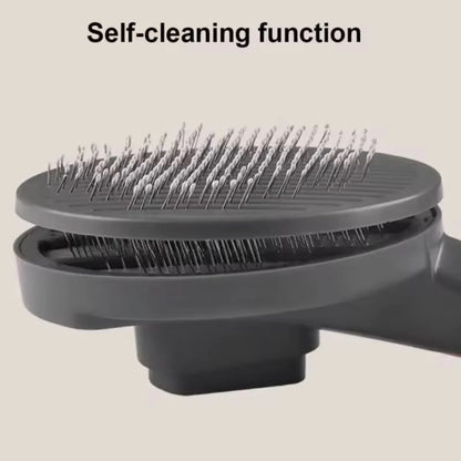 Pet Comb Brush