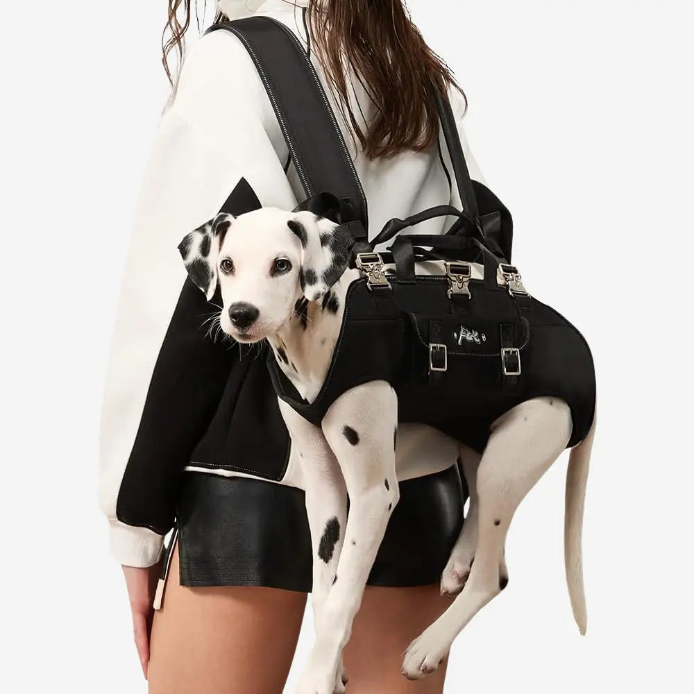 3-in-1 Shoulder Dog Carrier