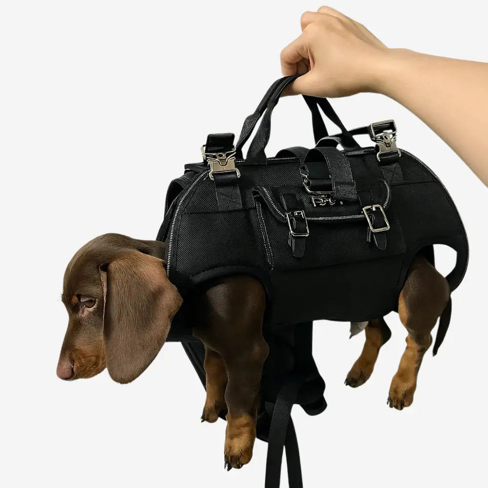 3-in-1 Shoulder Dog Carrier