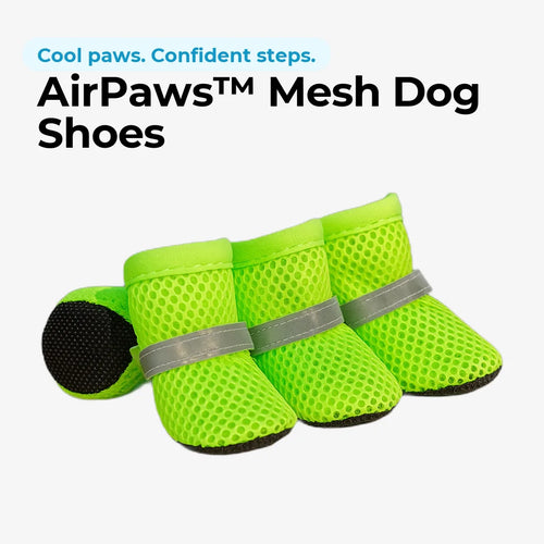 doggofinds-airpaws-mesh-dog-shoes-featured