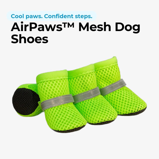 doggofinds-airpaws-mesh-dog-shoes-featured