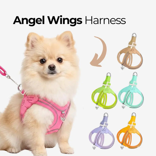 Angel Wings Harness