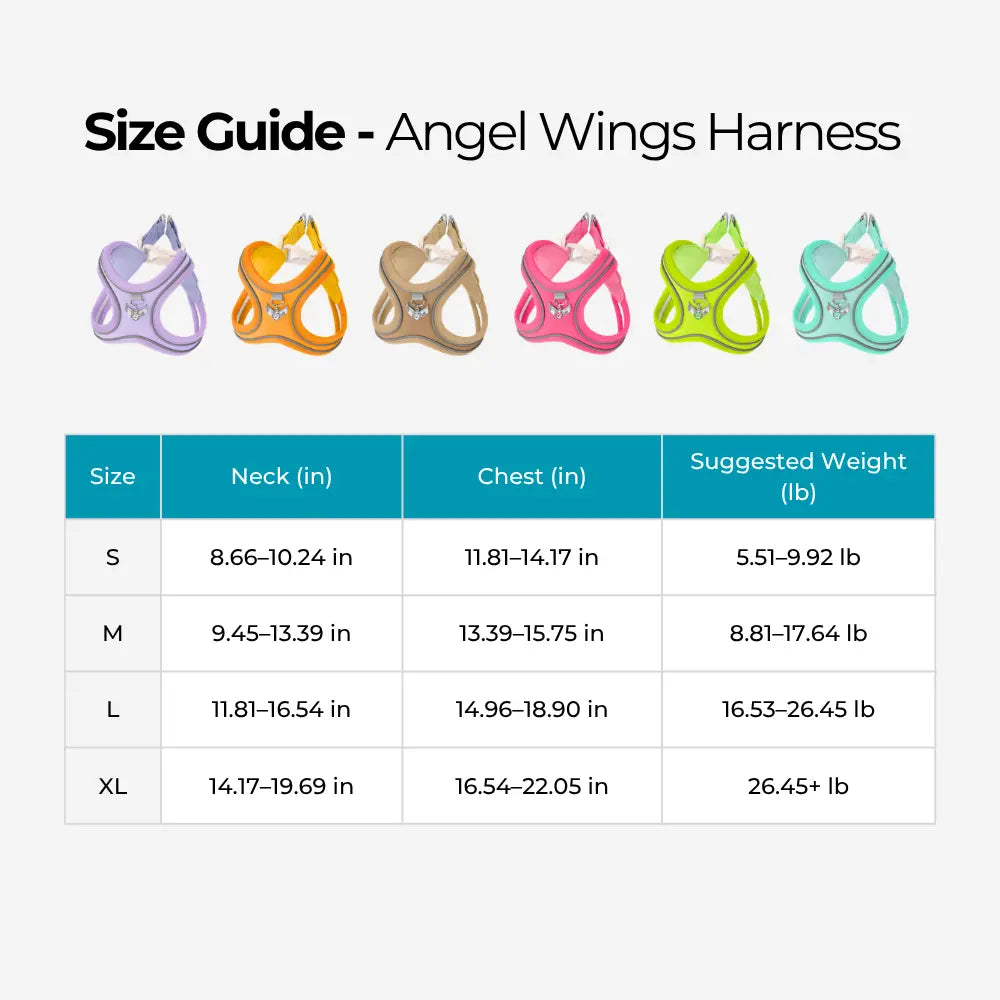 Angel Wings Harness