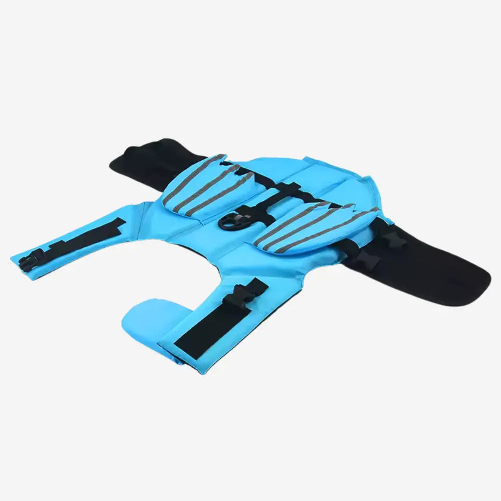 Angel Wings Life Jacket for Dogs