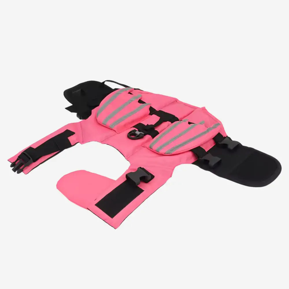 Angel Wings Life Jacket for Dogs