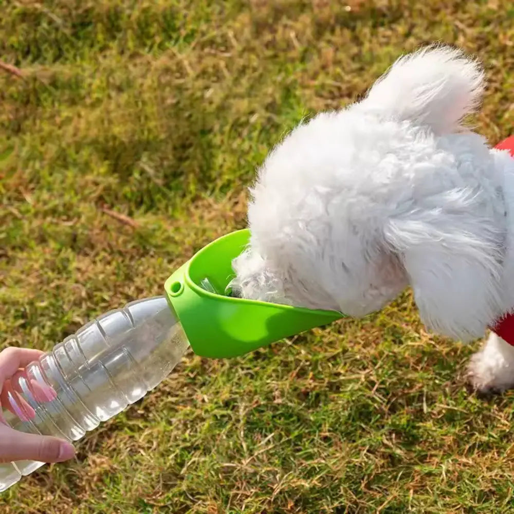 AquaTail™ Dog Hydration Cap