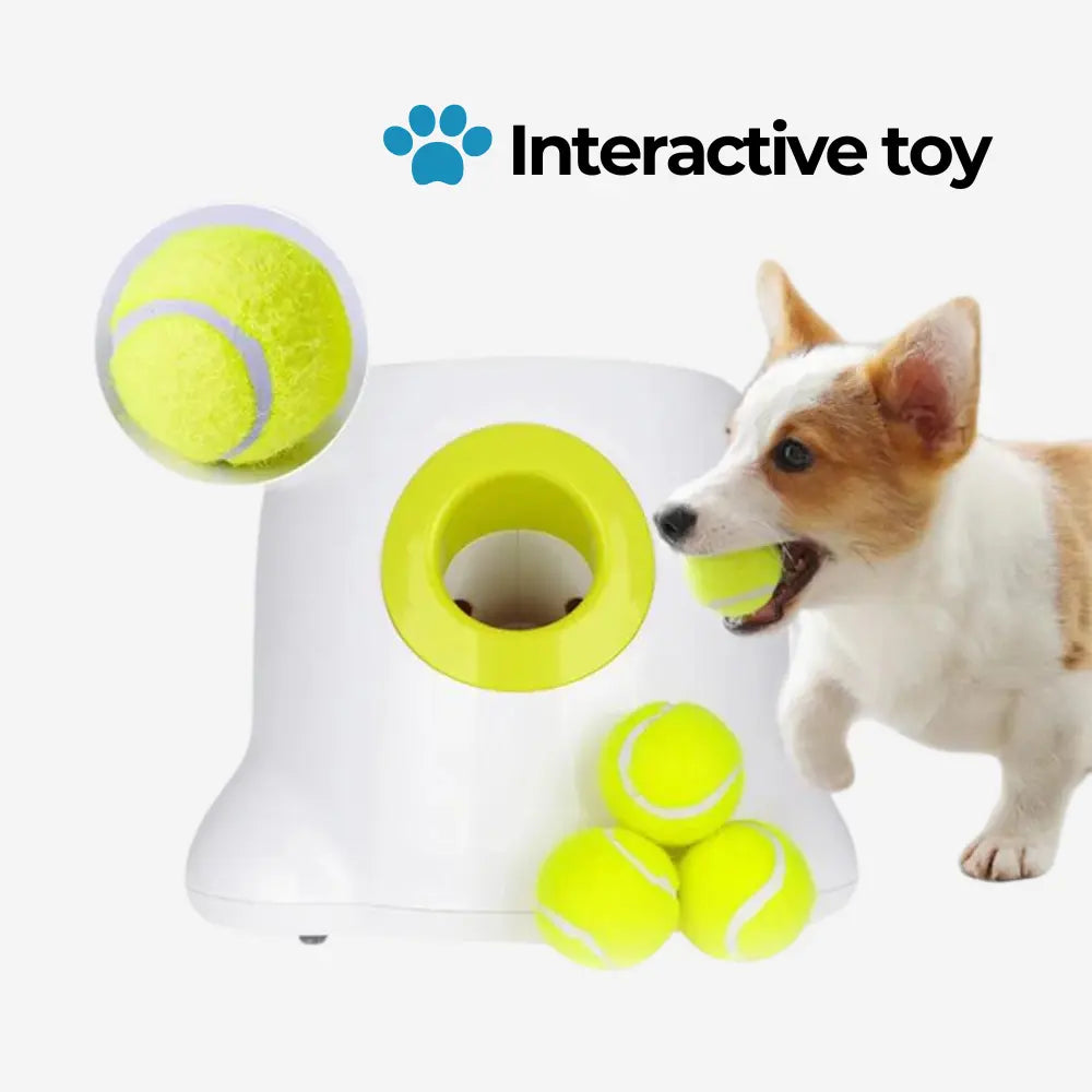 Automatic Ball Launcher for Dogs