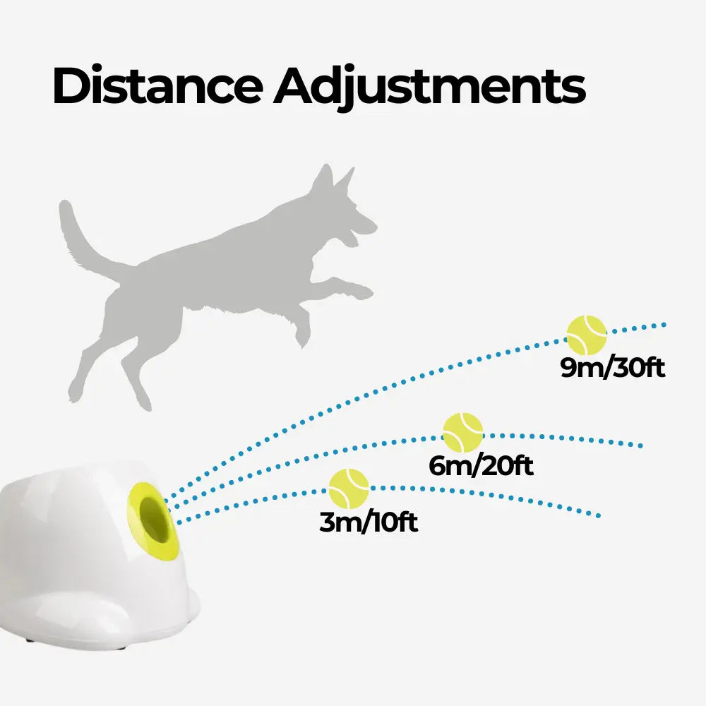 Automatic Ball Launcher for Dogs