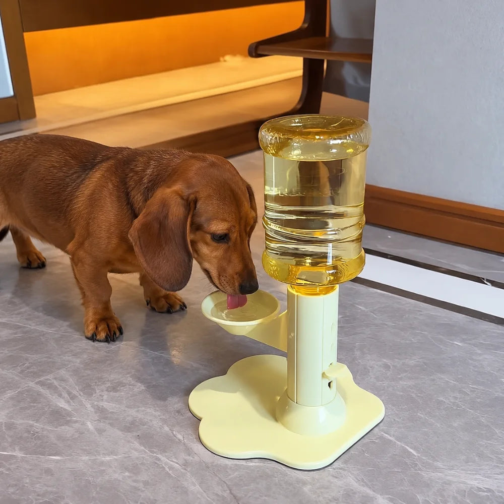Automatic Dog Water Dispenser