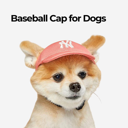 Baseball Cap for Dogs