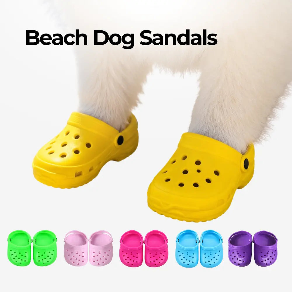 Beach Dog Sandals