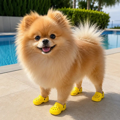 Beach Dog Sandals