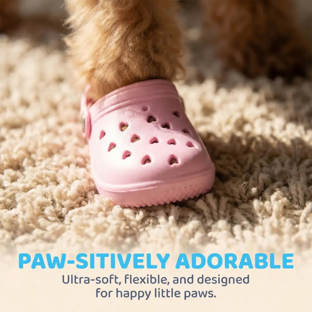 Beach Dog Sandals