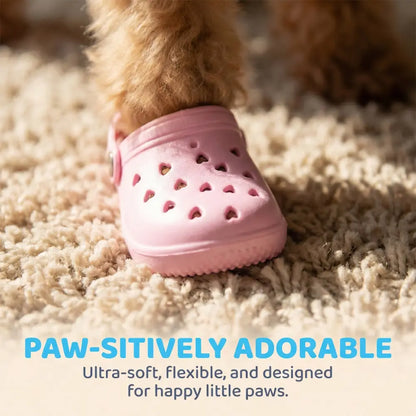 Beach Dog Sandals