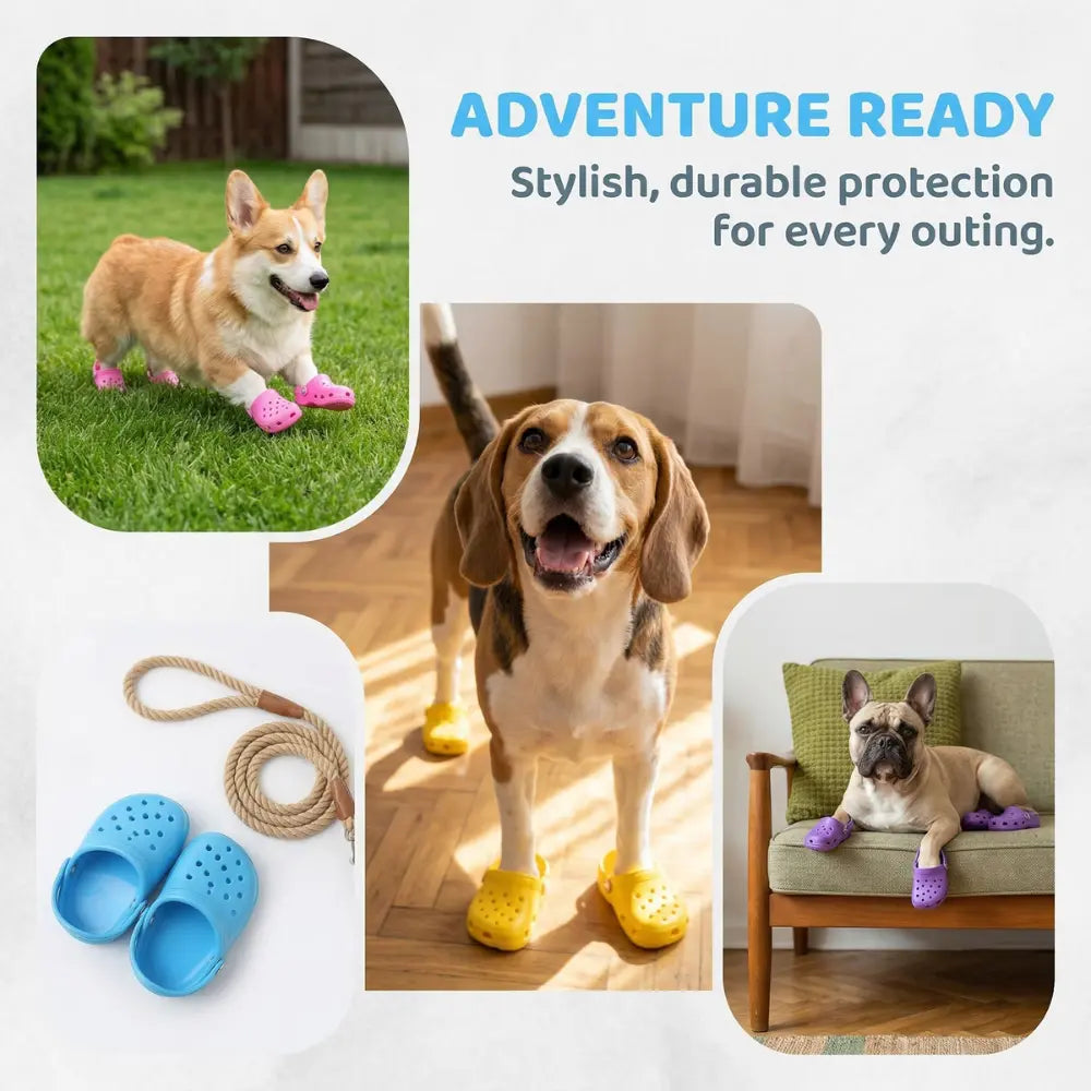 Beach Dog Sandals