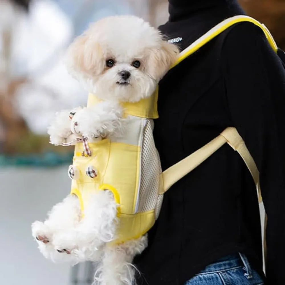 Bear Dog Carrier Backpack