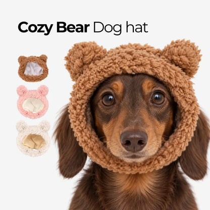 CozyBear Dog Hat