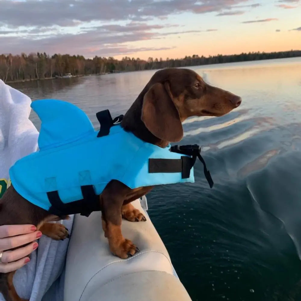 Blue Shark Life Jacket