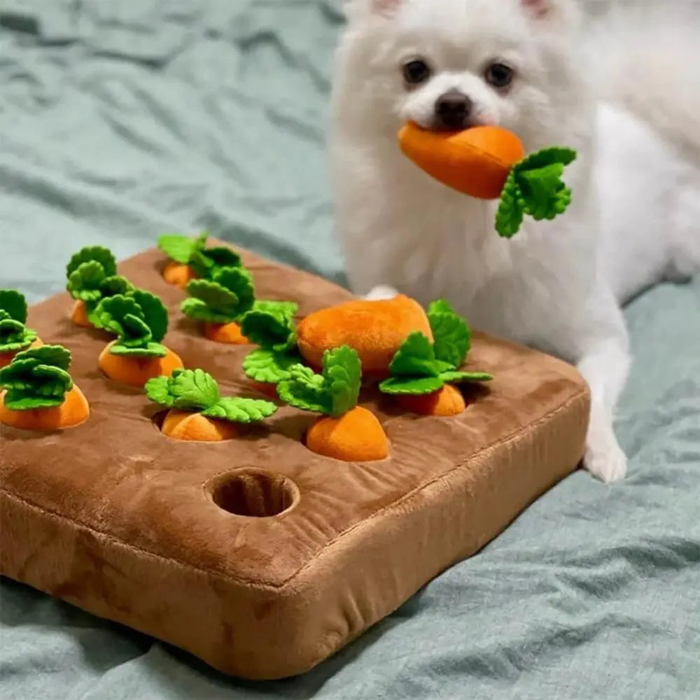 Carrot Snuffle Mat For Dogs