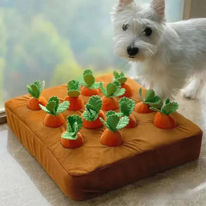 Carrot Snuffle Mat For Dogs