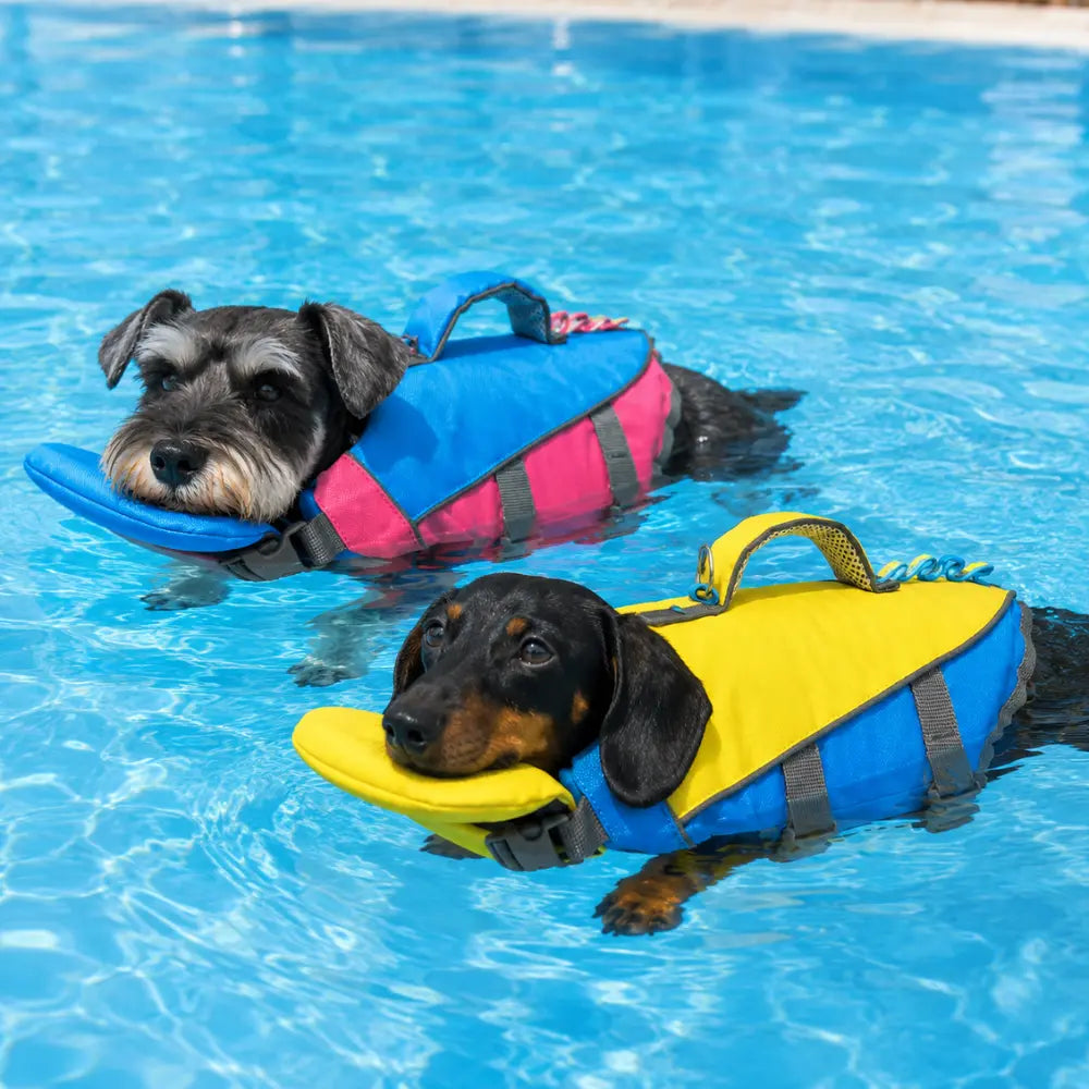 ChinFloat Dog Life Vest