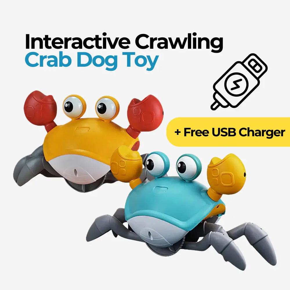 Crab Dog Toy