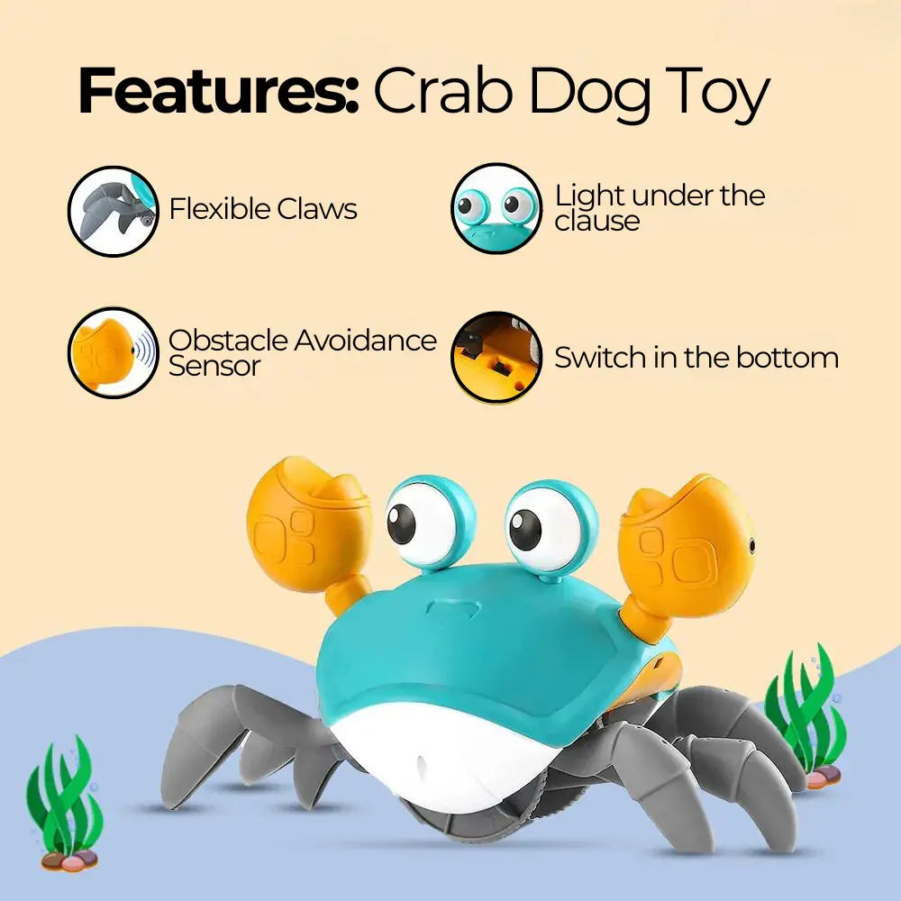 Crab Dog Toy