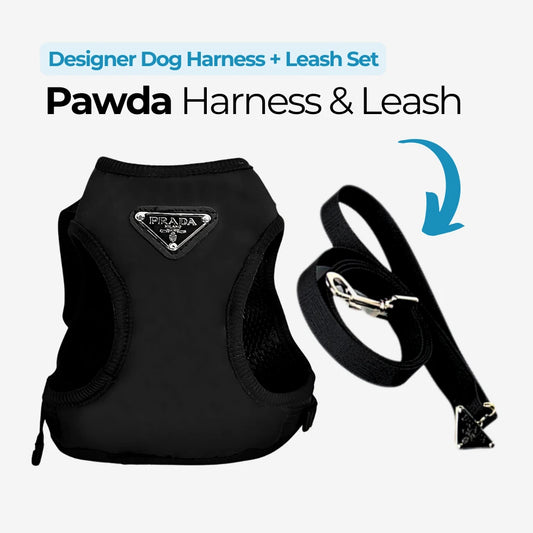 Designer Dog Harness & Leash Set