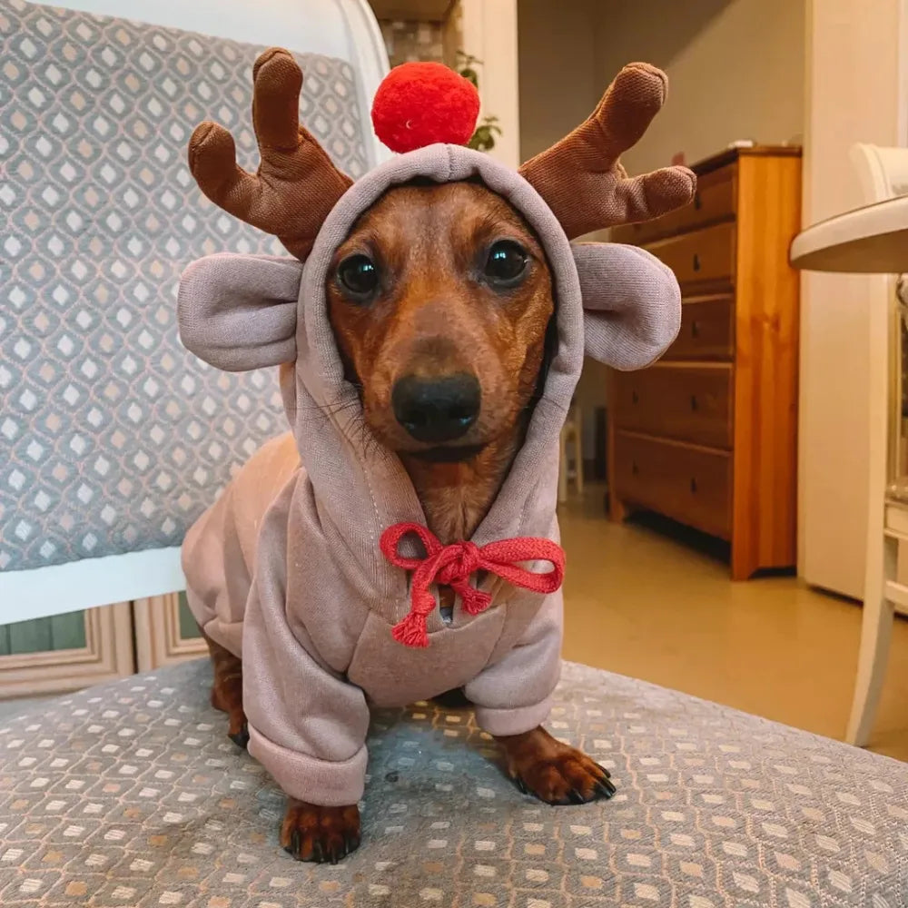 Reindeer Dog Christmas Hoodie