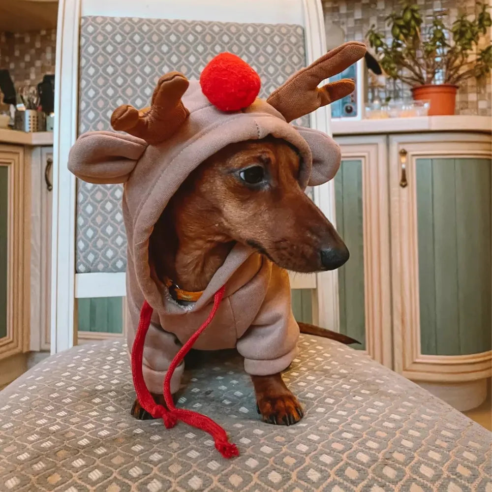 Reindeer Dog Christmas Hoodie