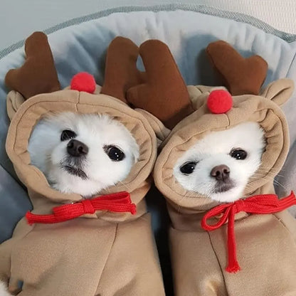 Reindeer Dog Christmas Hoodie