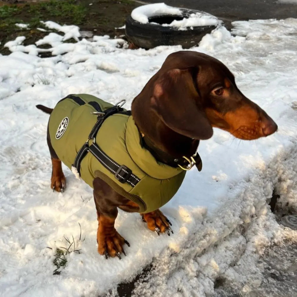 Waterproof Winter Jacket with Harness