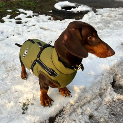 Waterproof Winter Jacket with Harness