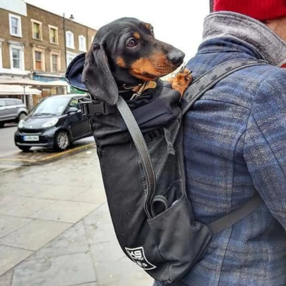 Dog Carrier Backpack