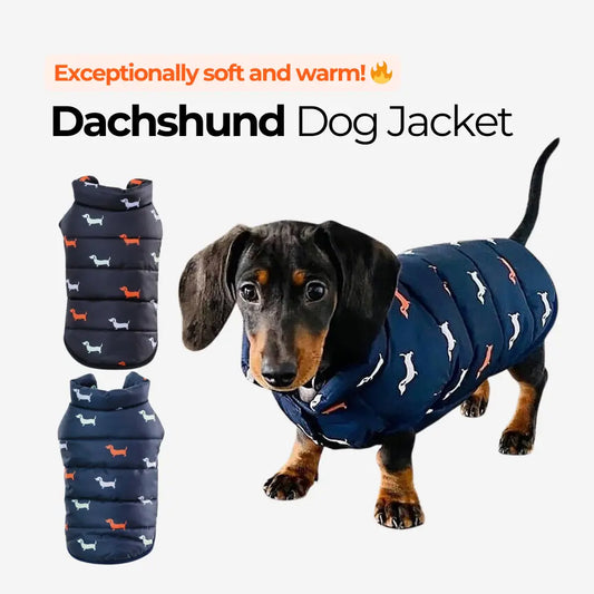 Dachshund Dog Jacket