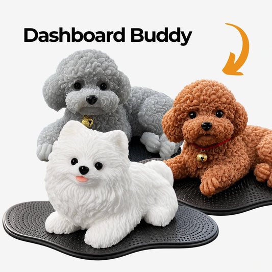 Dashboard Buddy