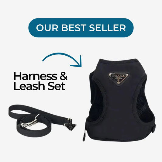 Designer Dog Harness & Leash Set