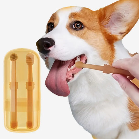 Pet Toothbrush