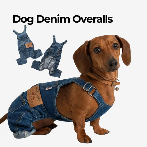 Dog Denim Overalls