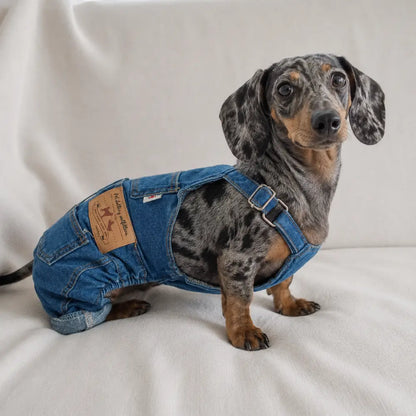 Dog Denim Overalls