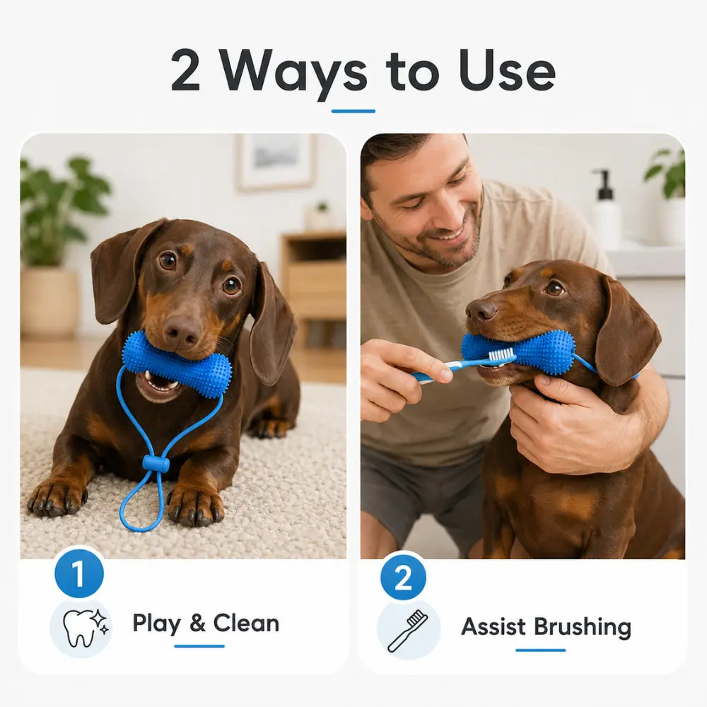 Dog Dental Chew Stick