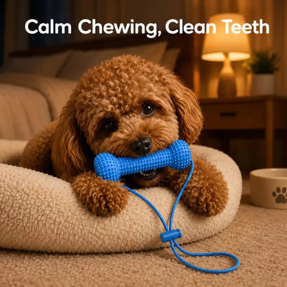 Dog Dental Chew Stick