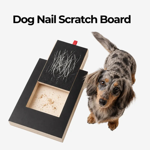 Dog Nail Grooming Board