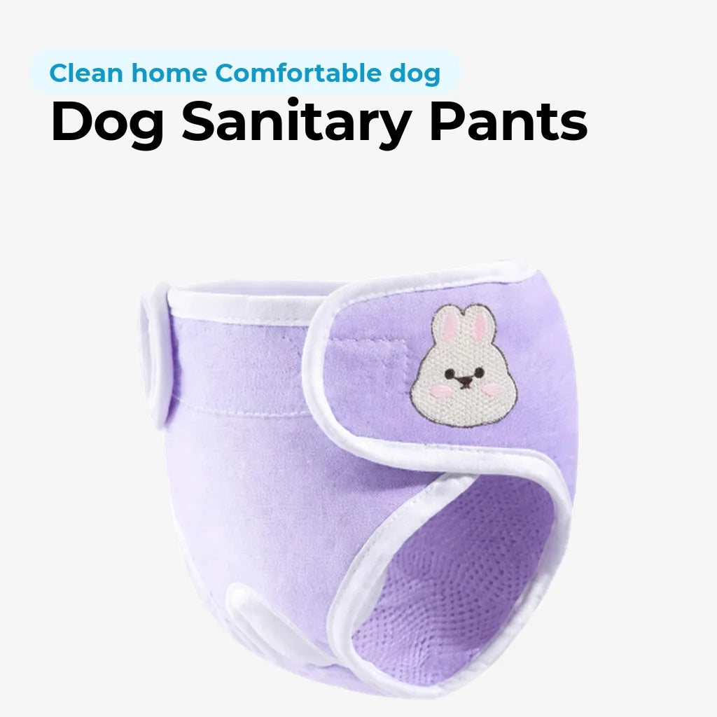 doggofinds-dog-sanitary-pants-featured